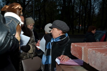 Уничтожение парка в Витебске: стартовала кампания "Витебск - город наш" (фото)