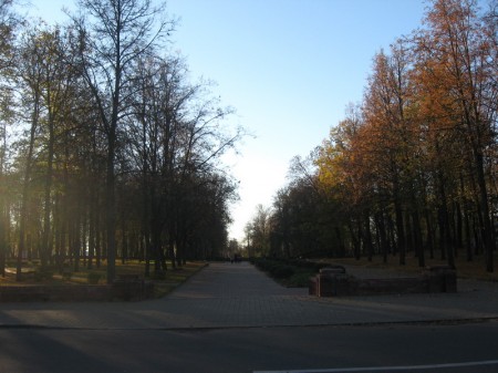 В Витебске приостановили строительство на месте парка (фото)