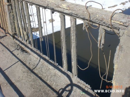У Воршы актывсіты БХД збіраюць подпісы за рамонт мосту праз Дняпро (фота)