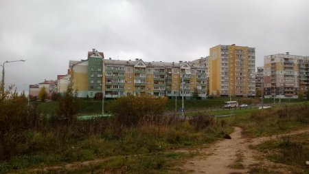 В Витебске расширяется инициатива БХД по посадке деревьев (фото)