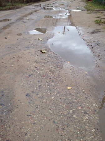 В Гродно жители частного сектора требуют заасфальтировать разбитые улицы (фото)